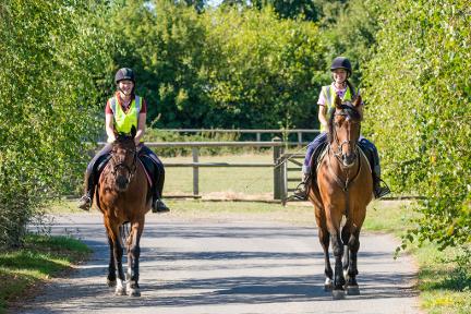 Deanswood Equestrian Centre grazing fields, cressing, braintree